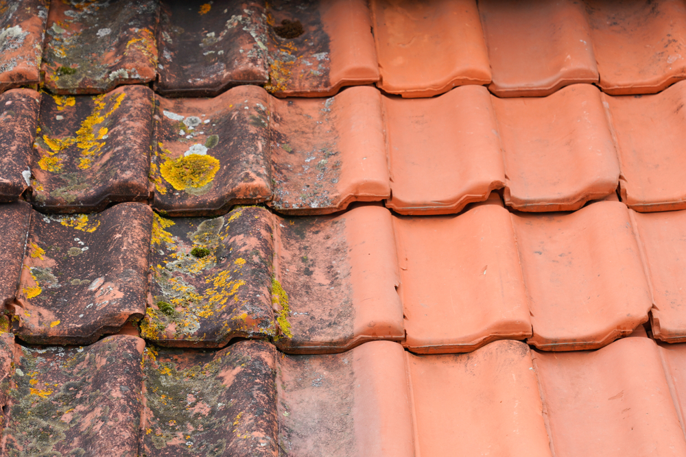 Roof Cleaning and Moss Removal in Bedfordshire